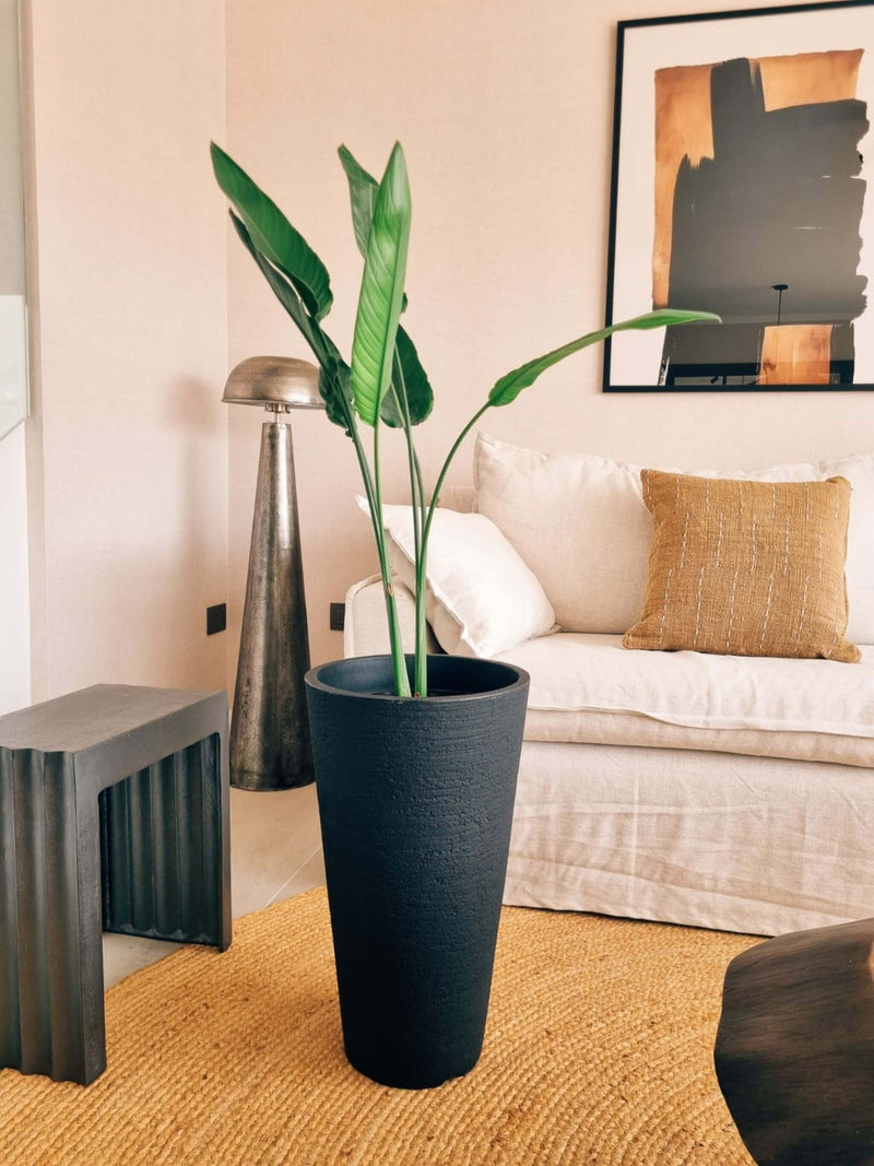 Flor del Pájaro XL (Strelitzia Reginae)