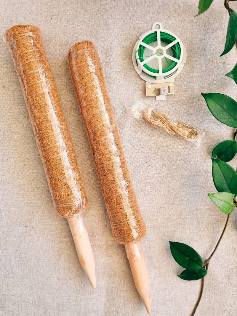 Pack Tutores Fibra de Coco - Garden Room