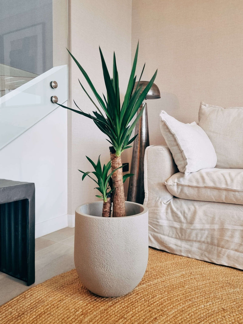 Macetero Bruma Arena (33x33.5 cm)