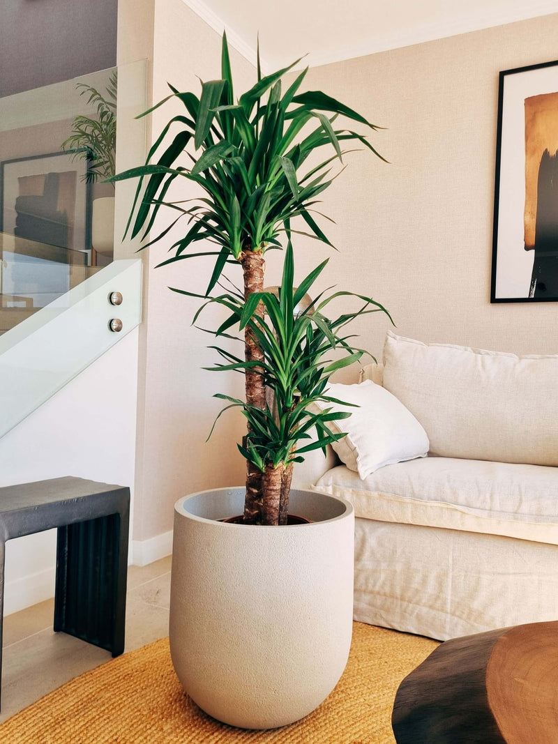 Macetero Bruma Arena (44 x47 cm)