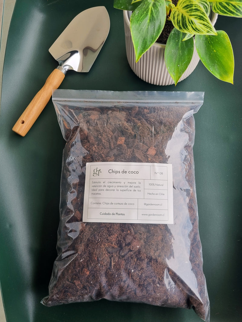 Chips de Coco - Garden Room