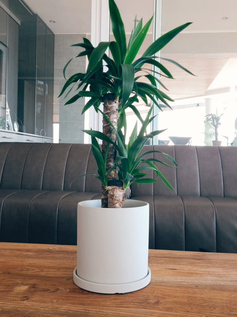 Macetero Nordico Blanco L