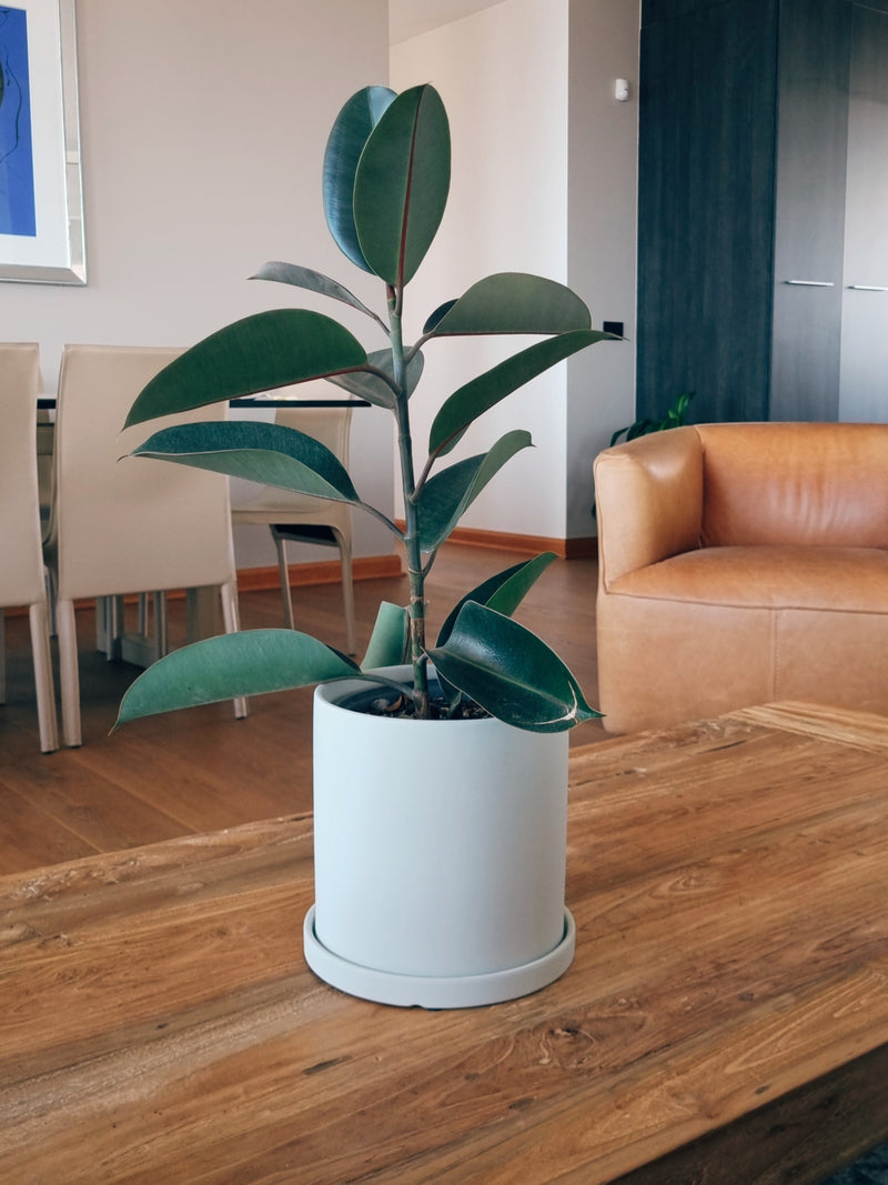 Macetero Nordico Blanco L