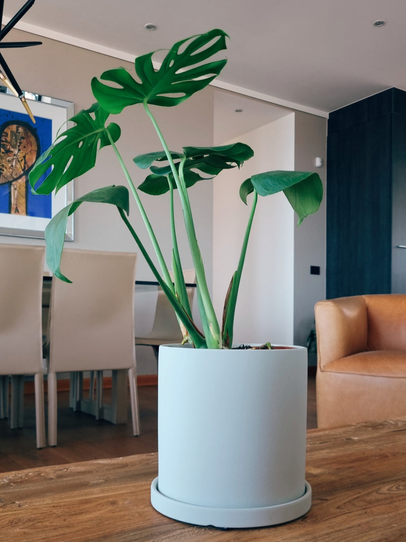 Macetero Nordico Blanco L