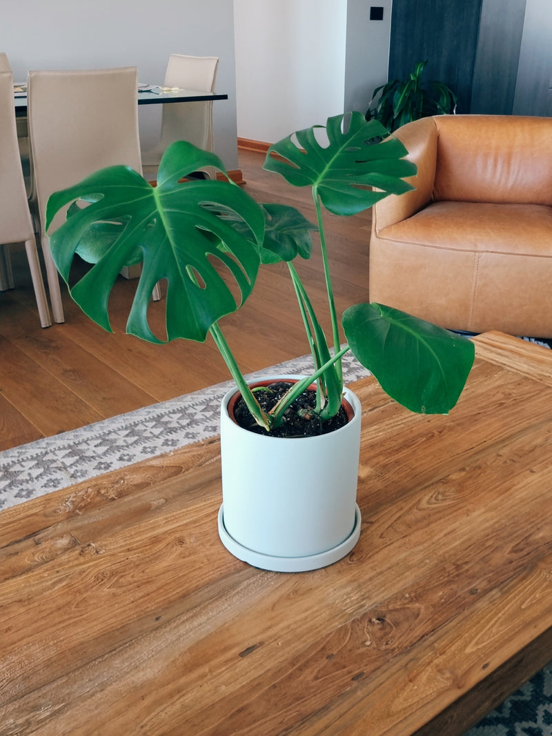 Macetero Nordico Blanco L