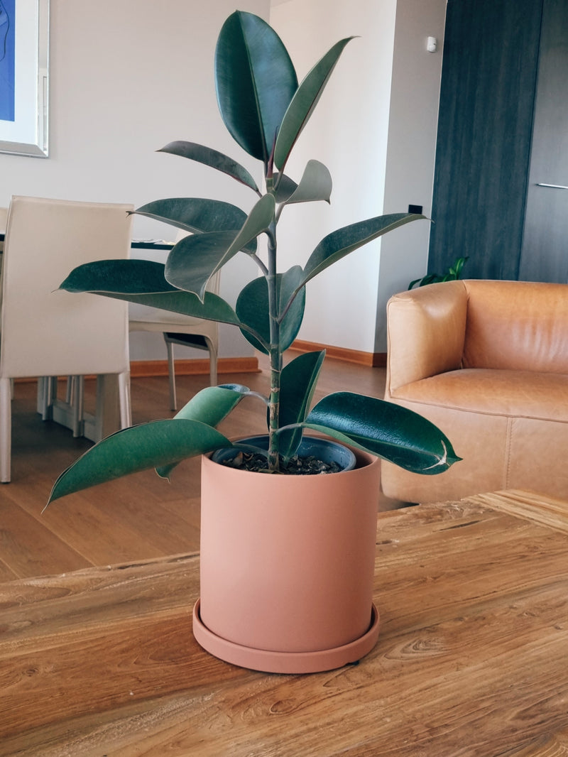 Macetero Nordico Terracota L