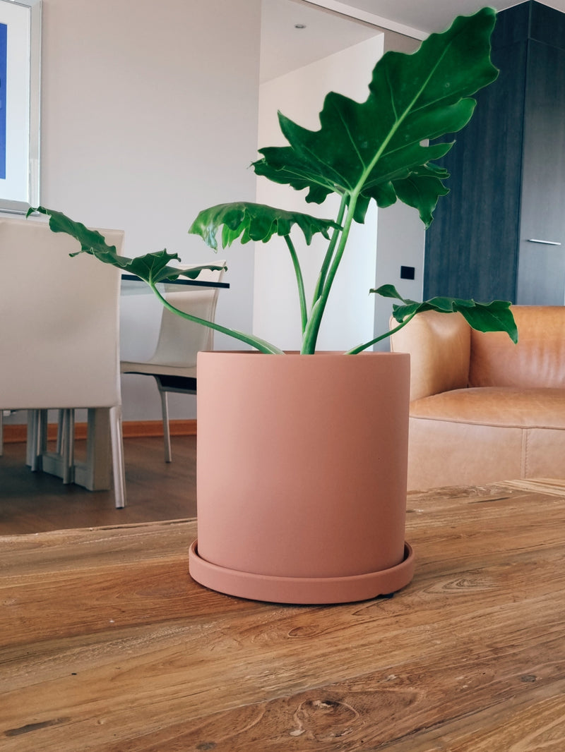 Macetero Nordico Terracota L