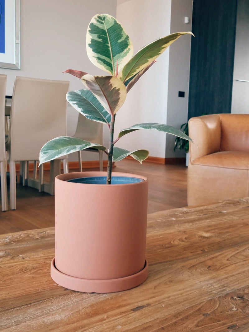 Maceta Nordica Terracota L - Garden Room