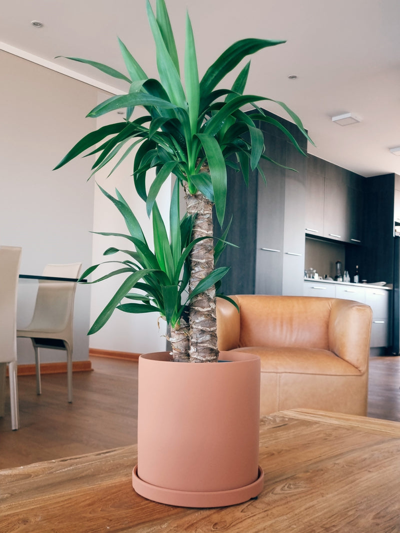 Macetero Nordico Terracota L