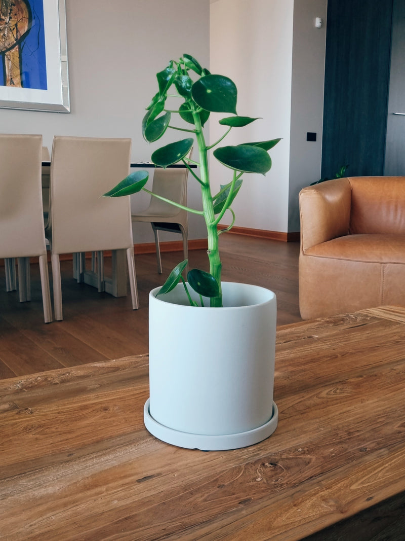 Maceta Nordica Blanco L - Garden Room