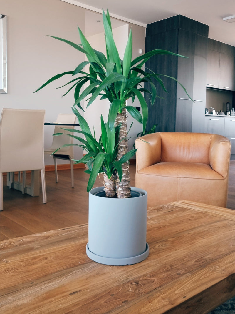 Maceta Nordica Gris L - Garden Room