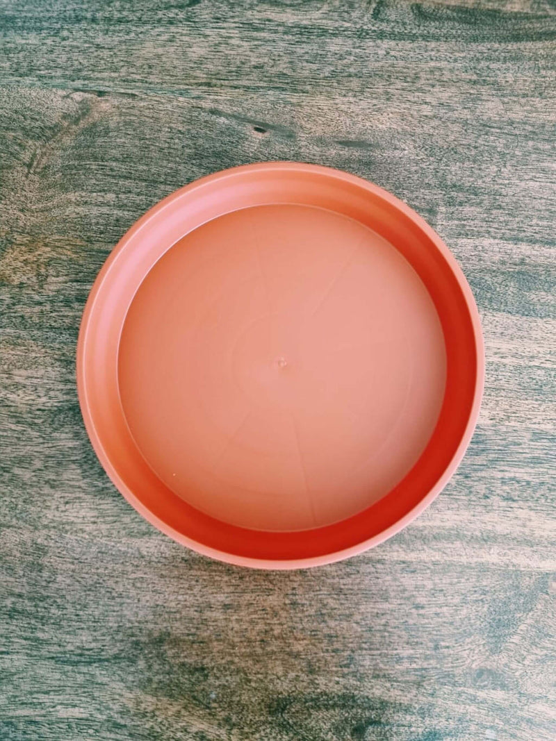 Plato para macetero 20cm