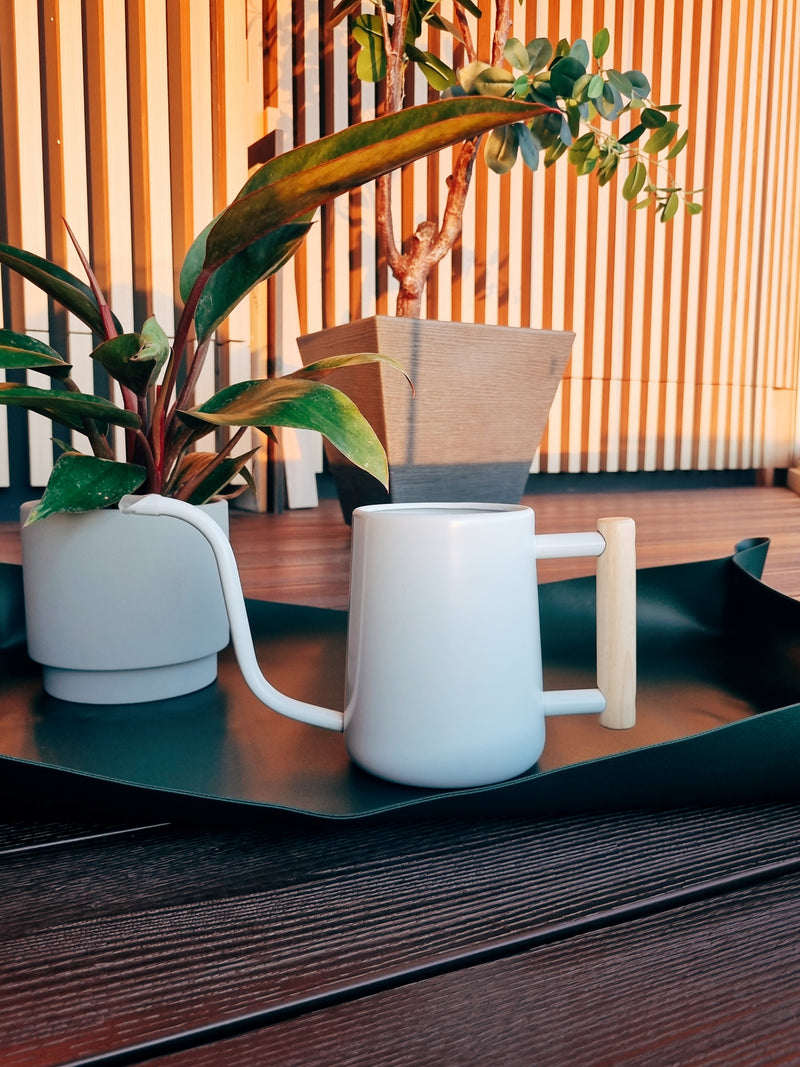 Regadera Blanca Asa Madera - Garden Room