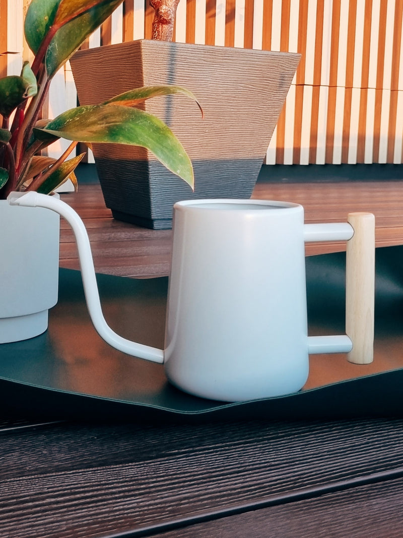 Regadera Blanca Asa Madera - Garden Room