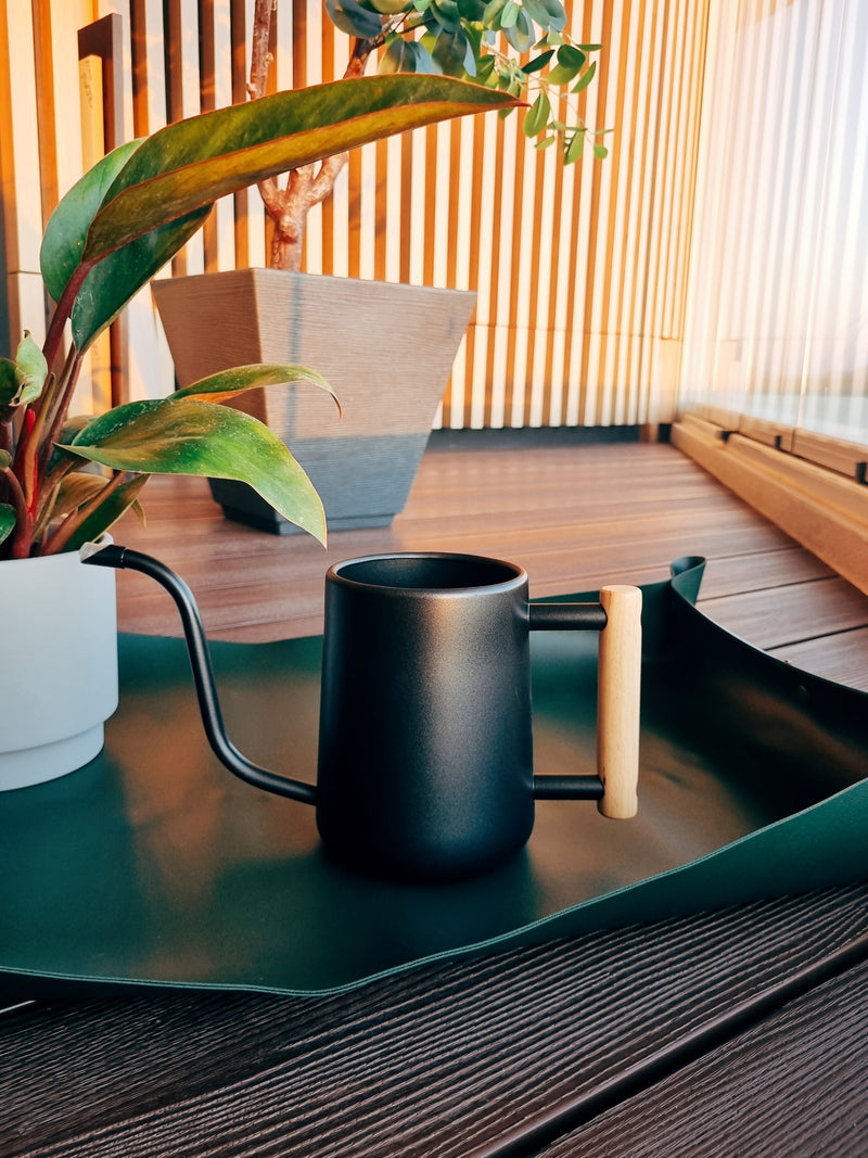 Regadera Negra Asa Madera - Garden Room