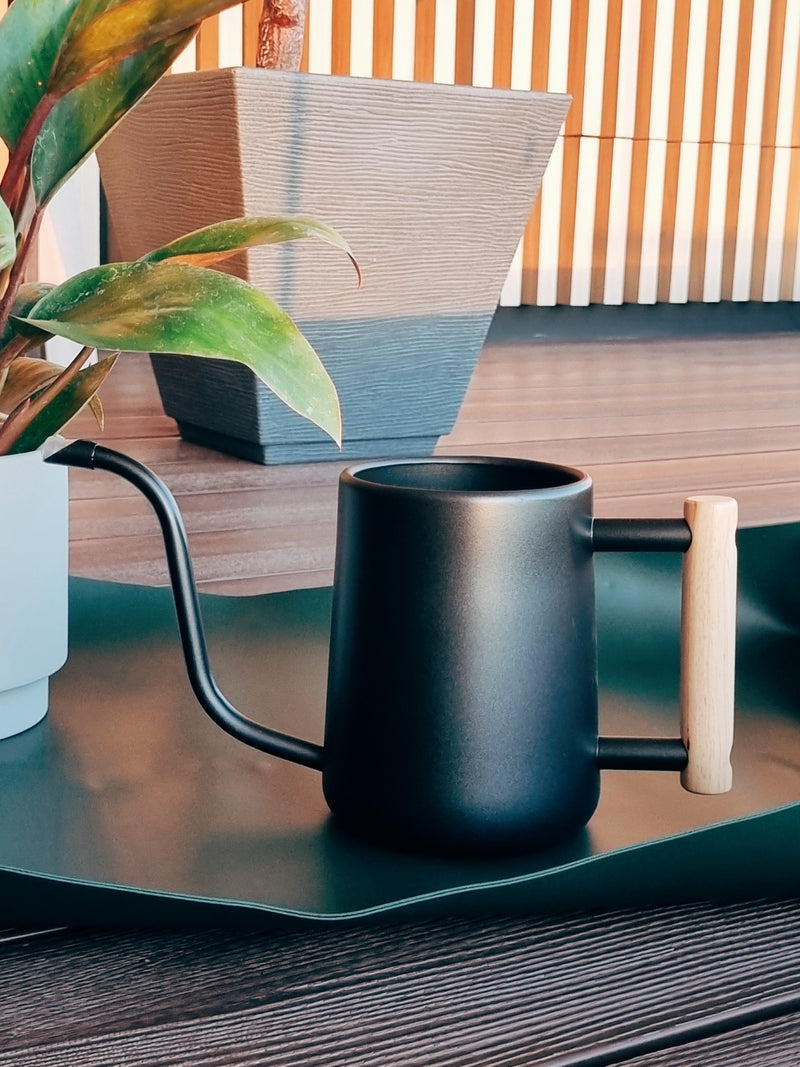 Regadera Negra Asa Madera - Garden Room