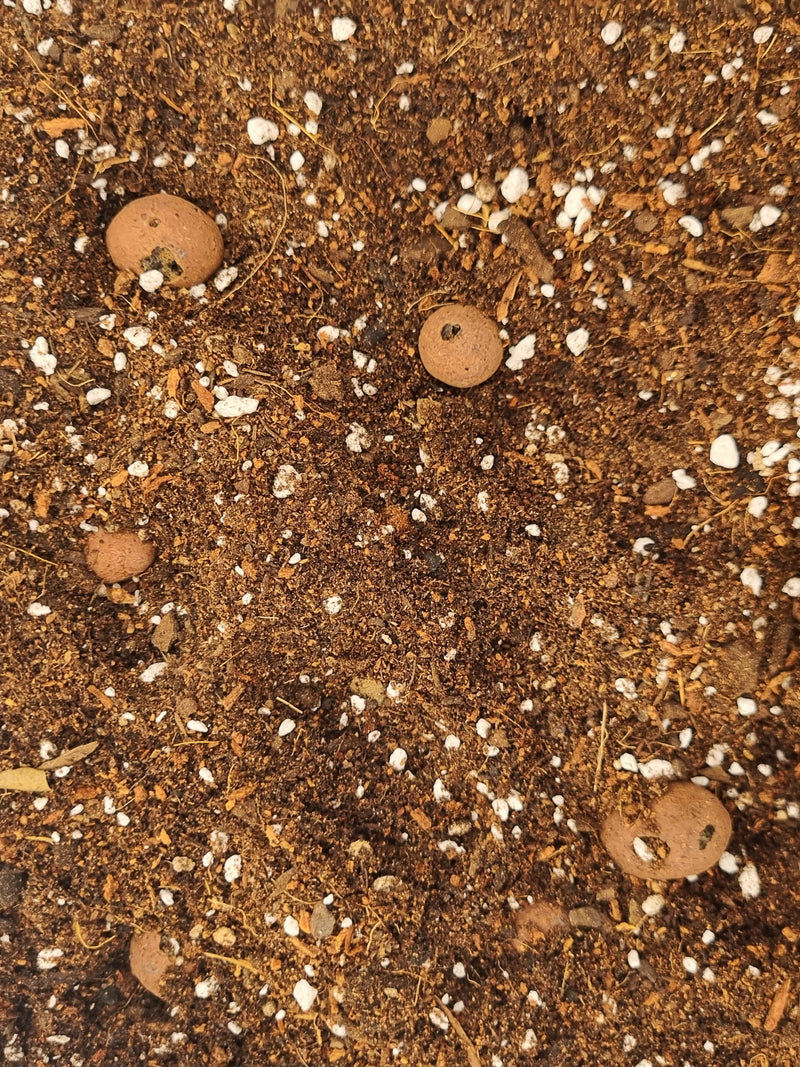 Sustrato para Monsteras y Filodendros 3 litros