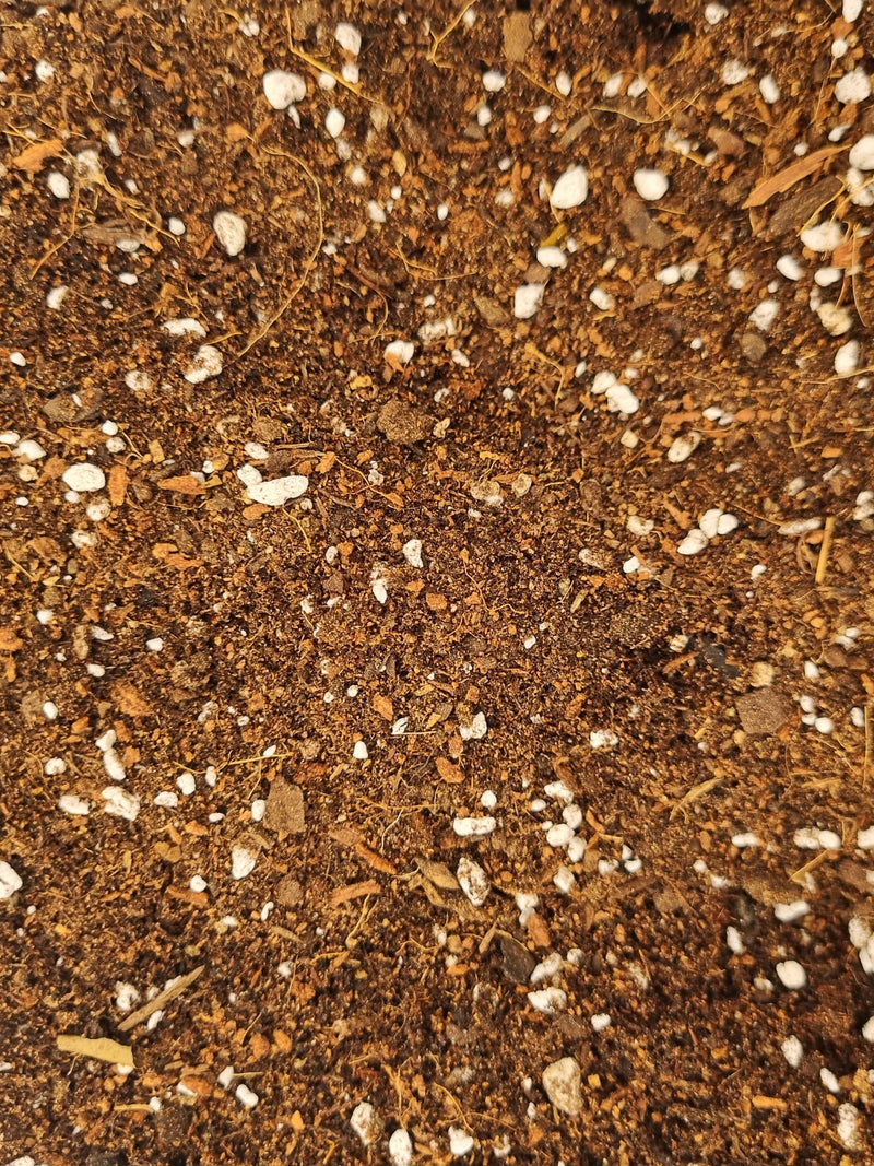 Sustrato Plantas de Interior 3 litros