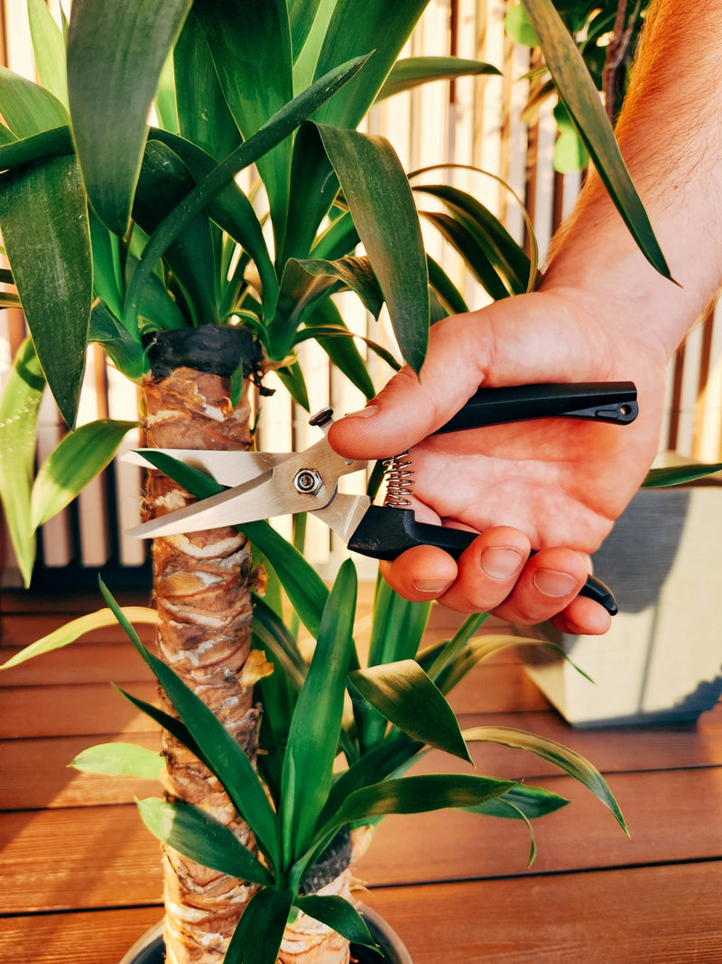 Set Tijeras de Podar Negras