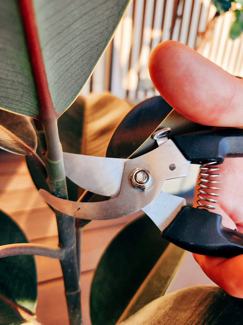 Set Tijeras de Podar Negras - Garden Room