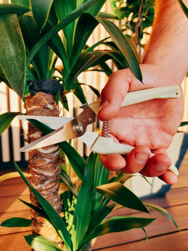 Set Tijeras de Podar Blanco - Garden Room
