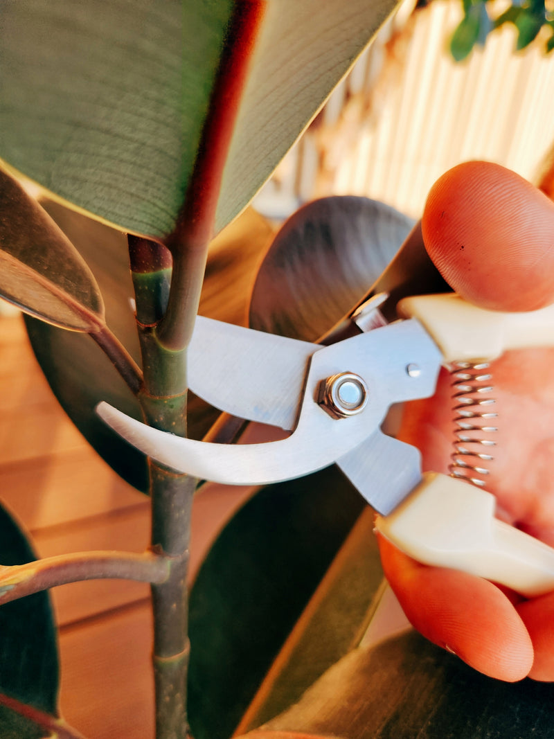 Set Tijeras de Podar Blanco - Garden Room