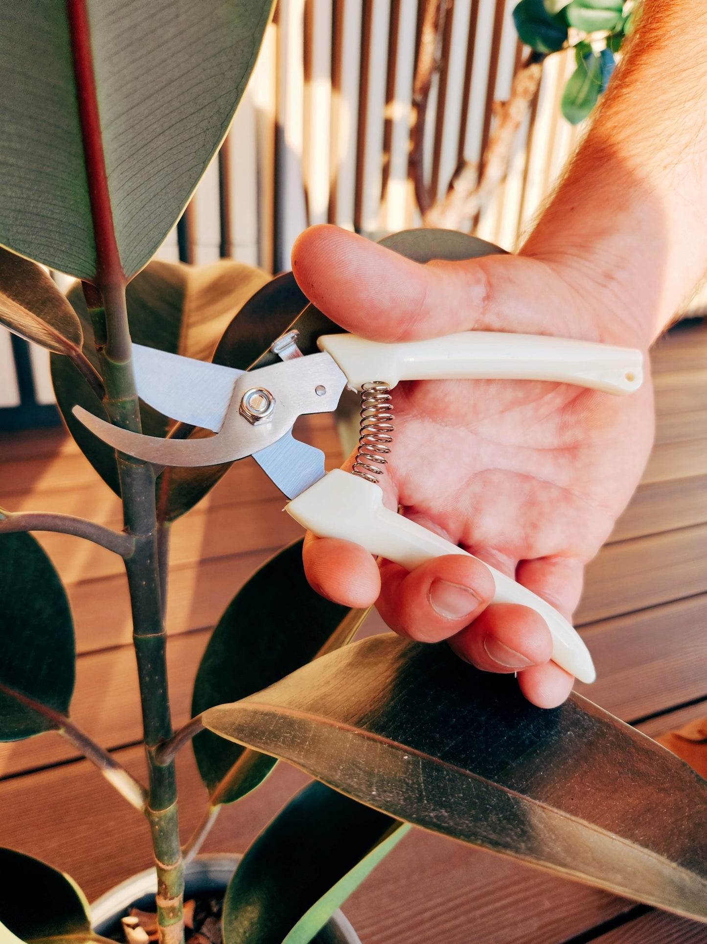 Set Tijeras de Podar Blanco - Garden Room