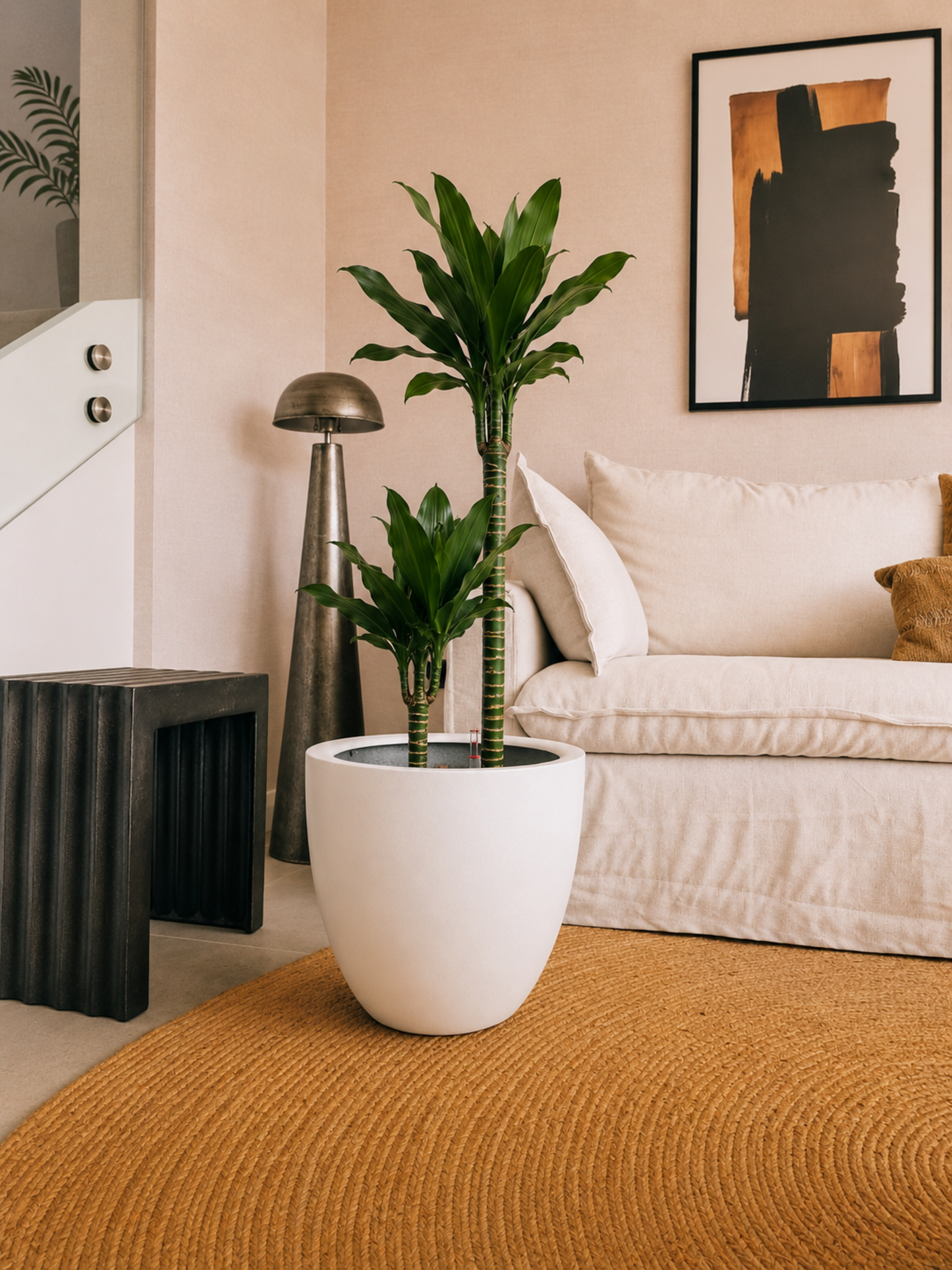 Dracena Golden Dream Dúo XL + Macetero Autorregante Origen - Elige tu color