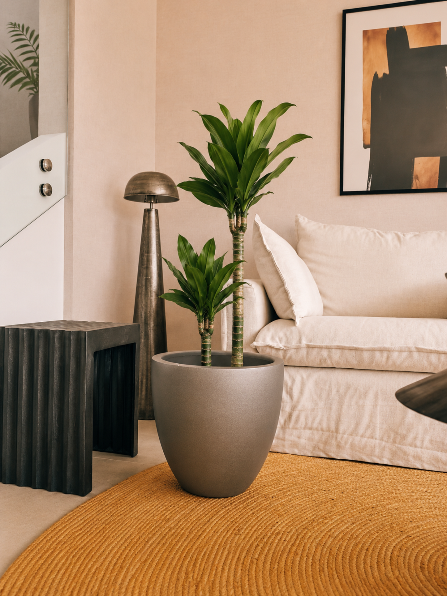 Dracena Golden Dream Dúo XL + Macetero Autorregante Origen - Elige tu color
