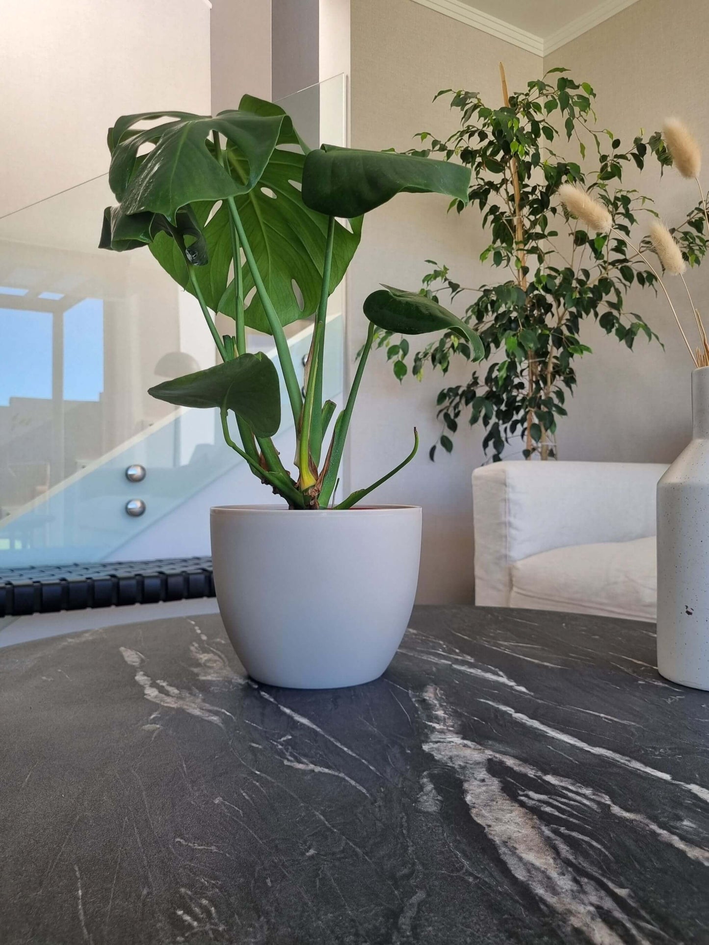 Macetero Siena Arena L - Garden Room