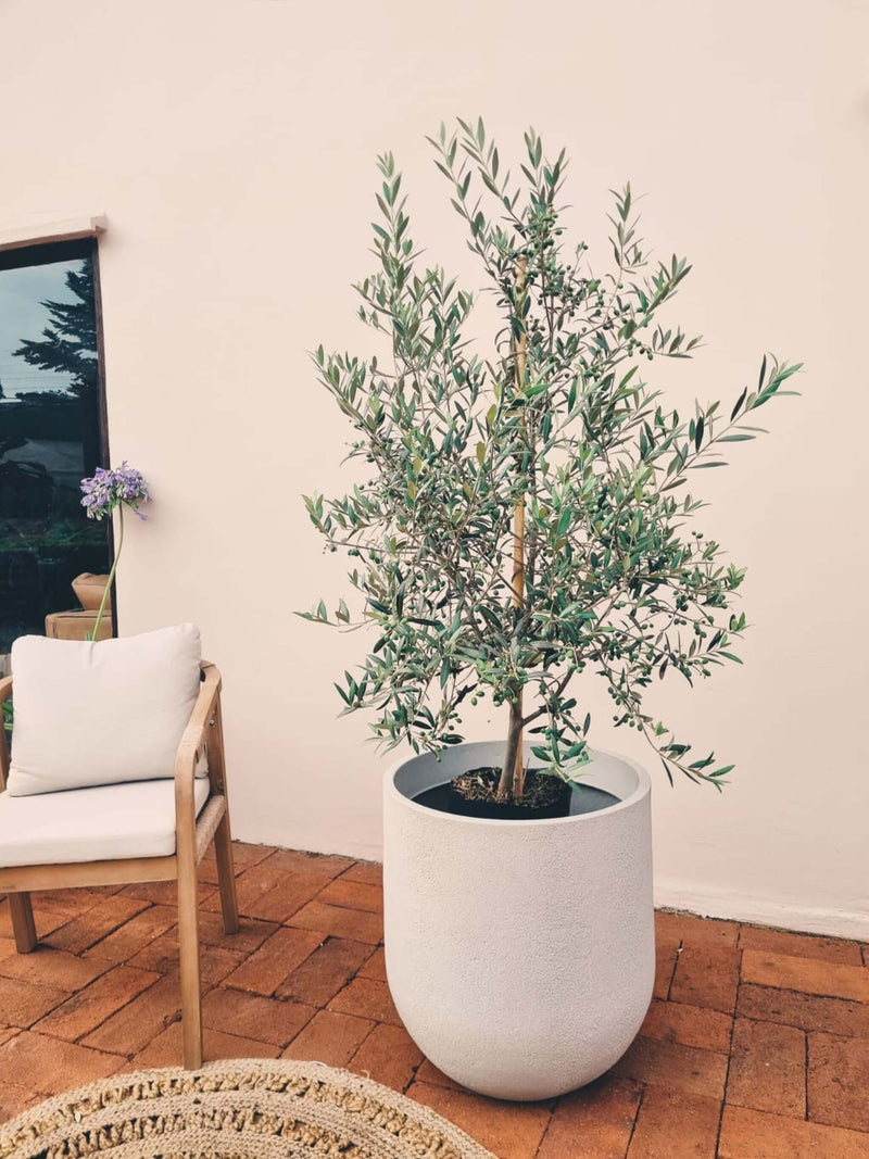 Macetero Bruma Arena (55x59 cm)