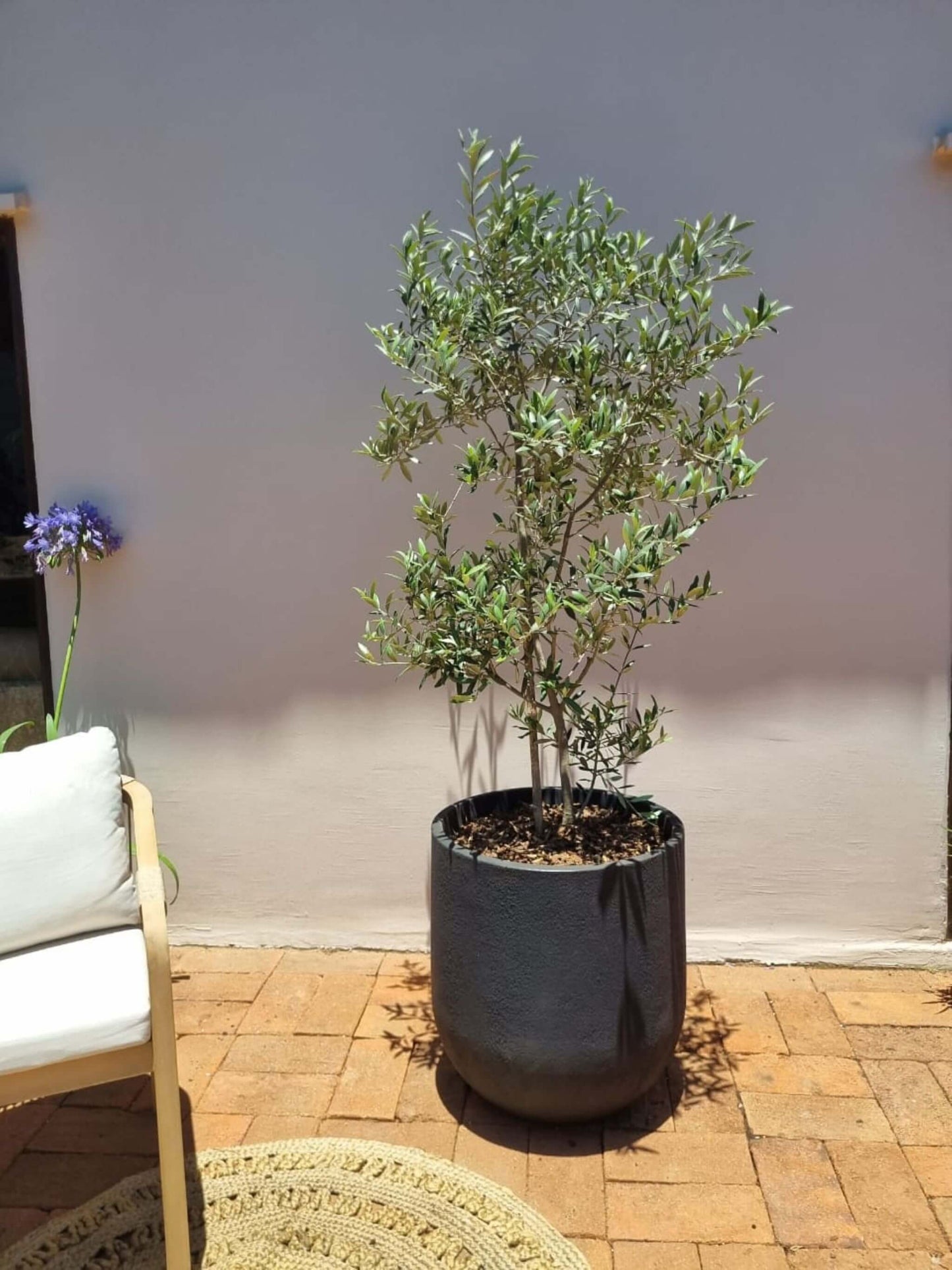 Macetero Bruma Negro (55x59 cm)