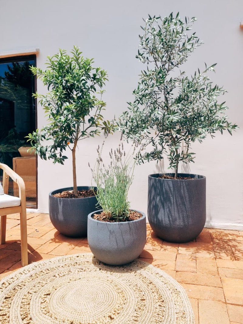 Pack Estilo Mediterráneo