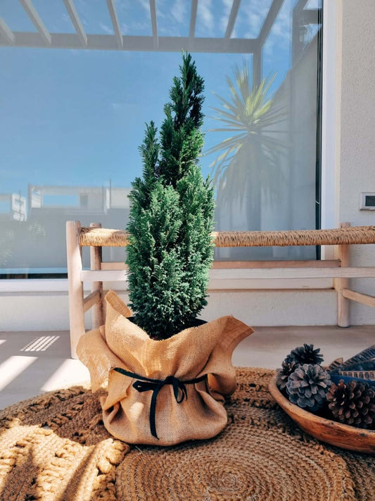 Pino Navideño - El Woodii + Arpillera