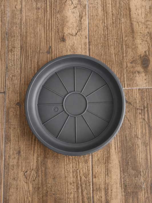 Plato Grafito 20cm