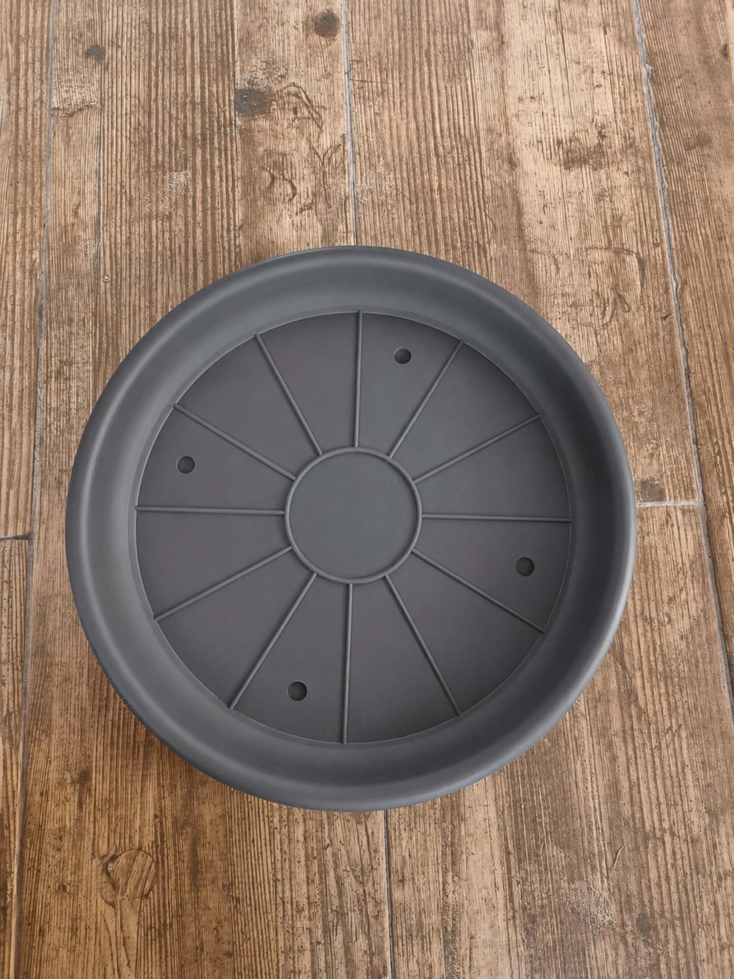 Plato Grafito 30cm