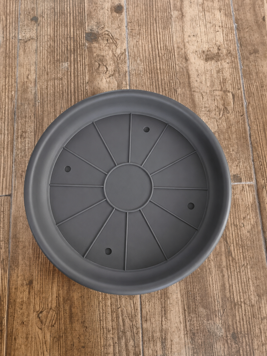 Plato Grafito 30cm