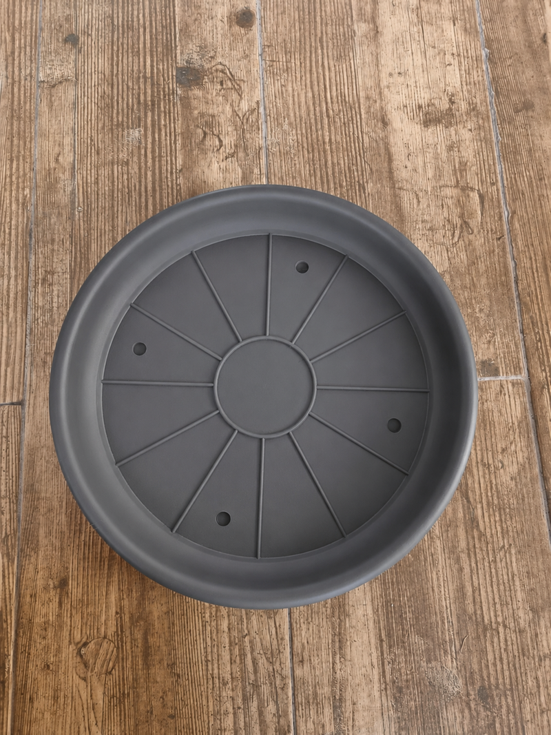Plato Grafito 30cm