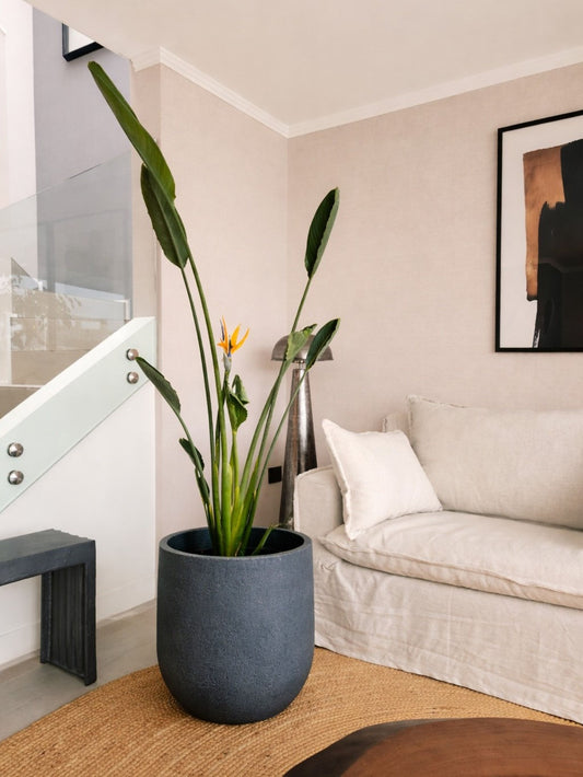 Macetero Bruma Grafito (43x47 cm)