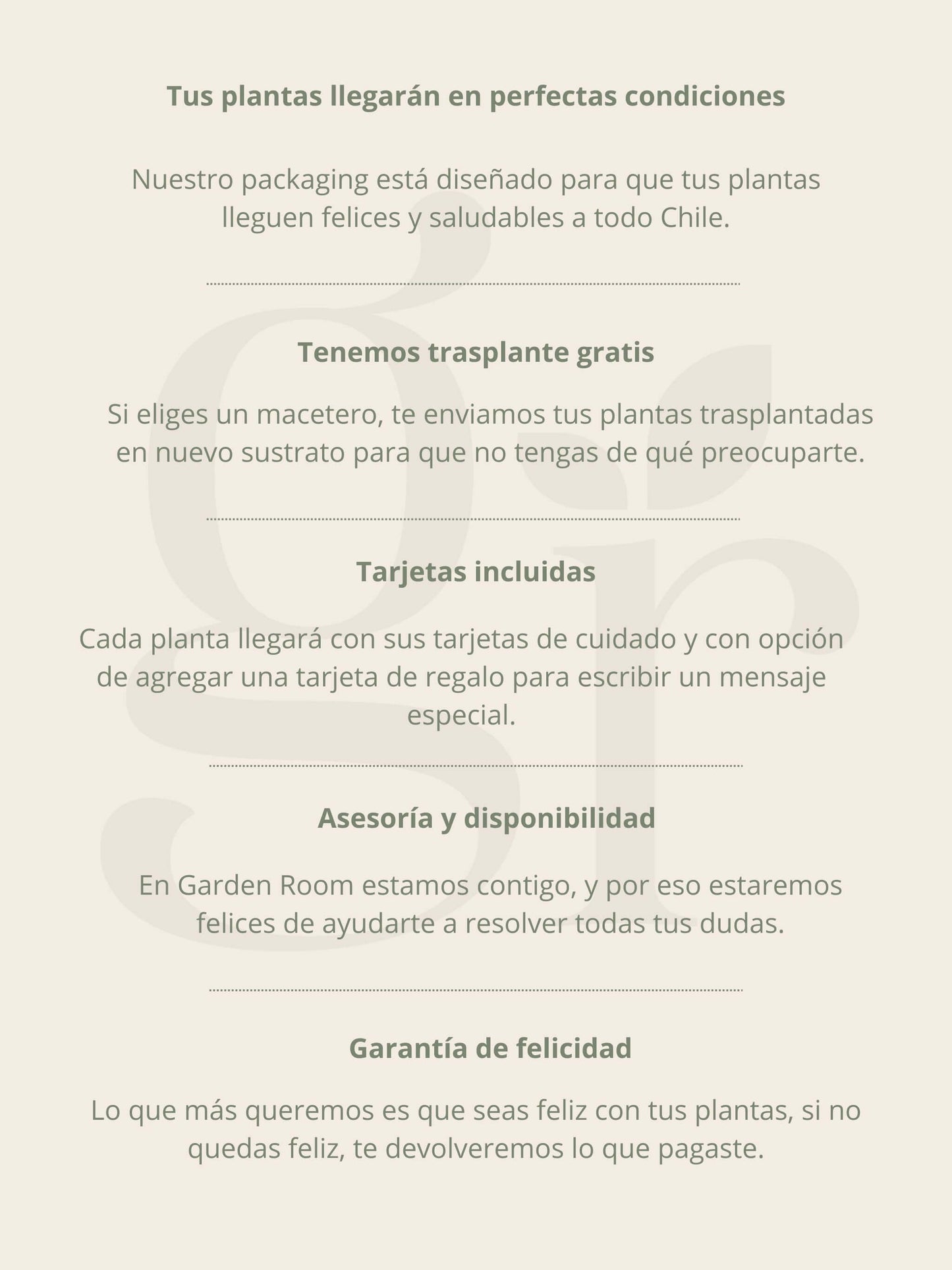 Rosario Verde +  Macetero Nórdico - Elige tu color