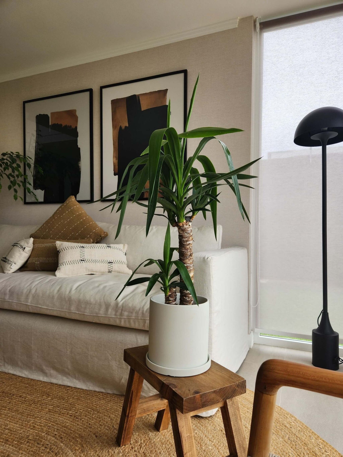 Yucca Doble + Macetero Nordico - Elige tu color