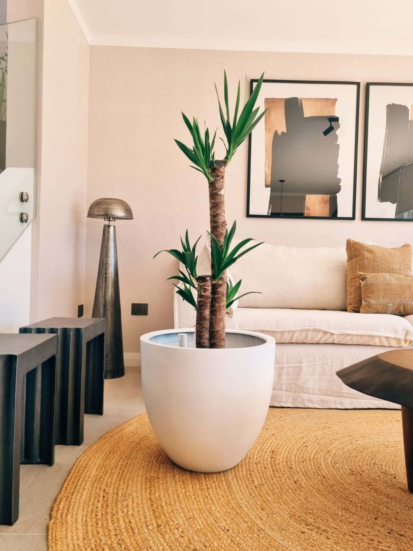 Yucca Triple XXL